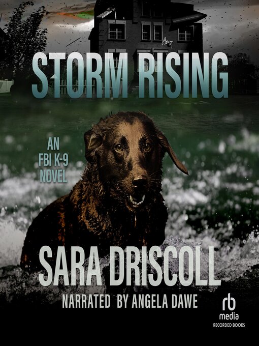 Title details for Storm Rising by Sara Driscoll - Wait list